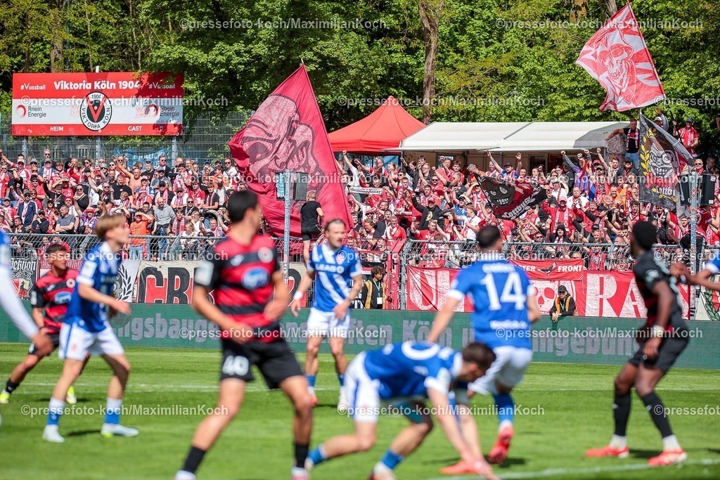 xsef26042601032 | 26.04.2026, xsefx, Fußball, 3.Liga, FC Viktoria Köln - Energie Cottbus, 35. Spieltag, Sportpark Höhenberg, Saison 2025 2026: FC Energie Cottbus Fans Fankurve Gästeblock Fanbereich feiert DFB regulations prohibit any use of photographs as image sequences and or quasi-video. Photo: xSabinexEffgenxPressefotoKochx