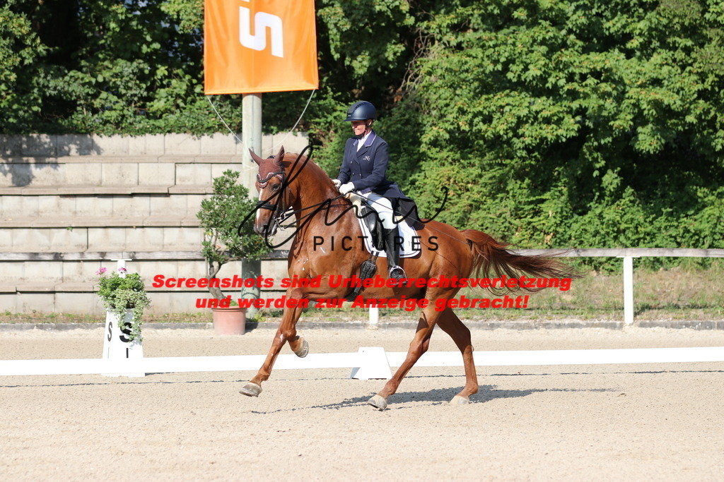 IMG_8955 | lmwpictures - Realisiert mit Pictrs.com