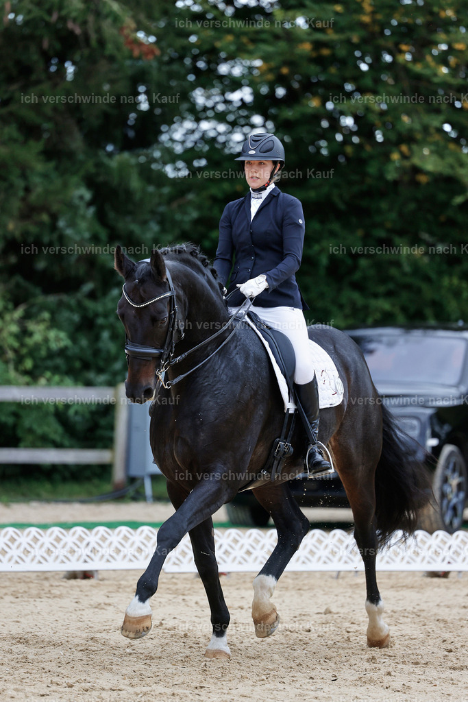 04_1-118-Dressur M__ -StoibPH-StoibPH-2668 | working equitationturnier fotograf videograf stoibphotography marixx film working equitation deutschland reitsport turnierfotografie eventfotografie equestrian events