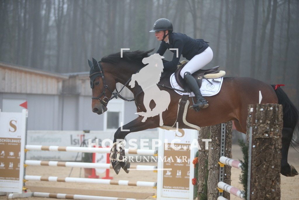PP012427 | Willkommen bei Brunnmayr - Design & Fotografie – Ihrem Spezialisten für Reitturniere und Pferdeveranstaltungen in Oberösterreich, Salzburg und Bayern! Seit über 17 Jahren sind wir leidenschaftlich dabei.