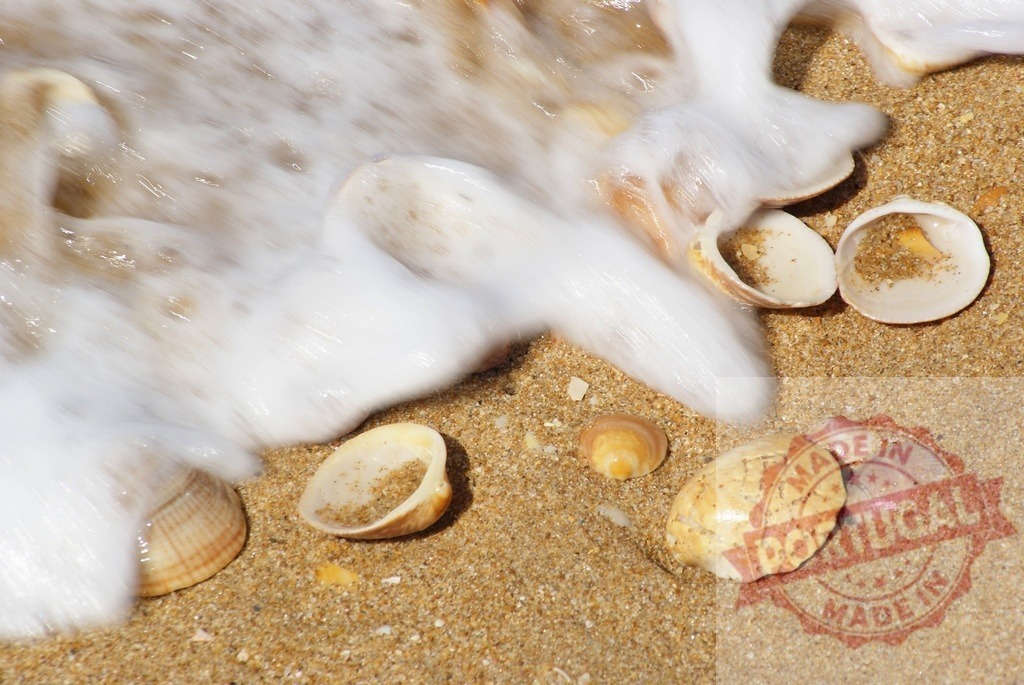 Ocean wave washing over seashells on beach sand | Ocean wave with white foam flowing over various seashells on golden beach sand - Realisiert mit Pictrs.com