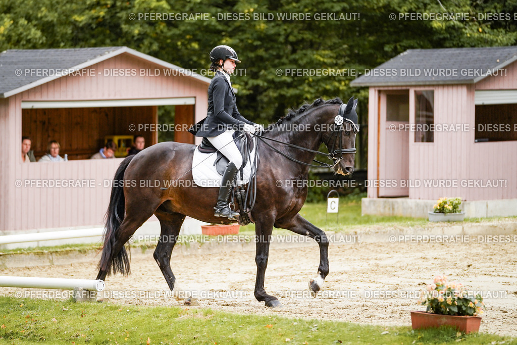 DSC03950 | Pferdegrafie