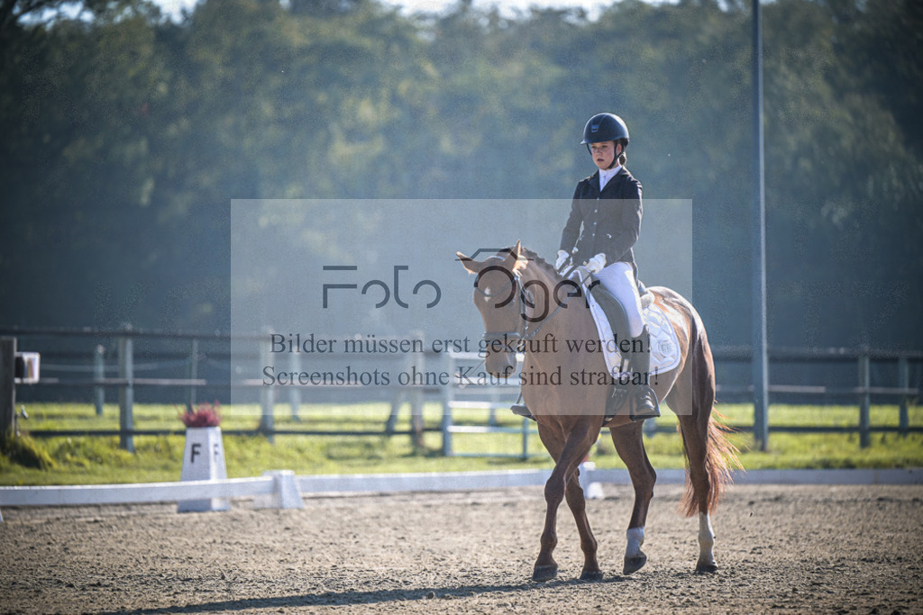 DOS_0972 | Entdecke hochwertige Reitturnierfotos von Foto Oger. Professionell, emotional und authentisch – jetzt Lieblingsmomente im Shop bestellen.Deutschlandweite Turnierfotografie. - Realisiert mit Pictrs.com