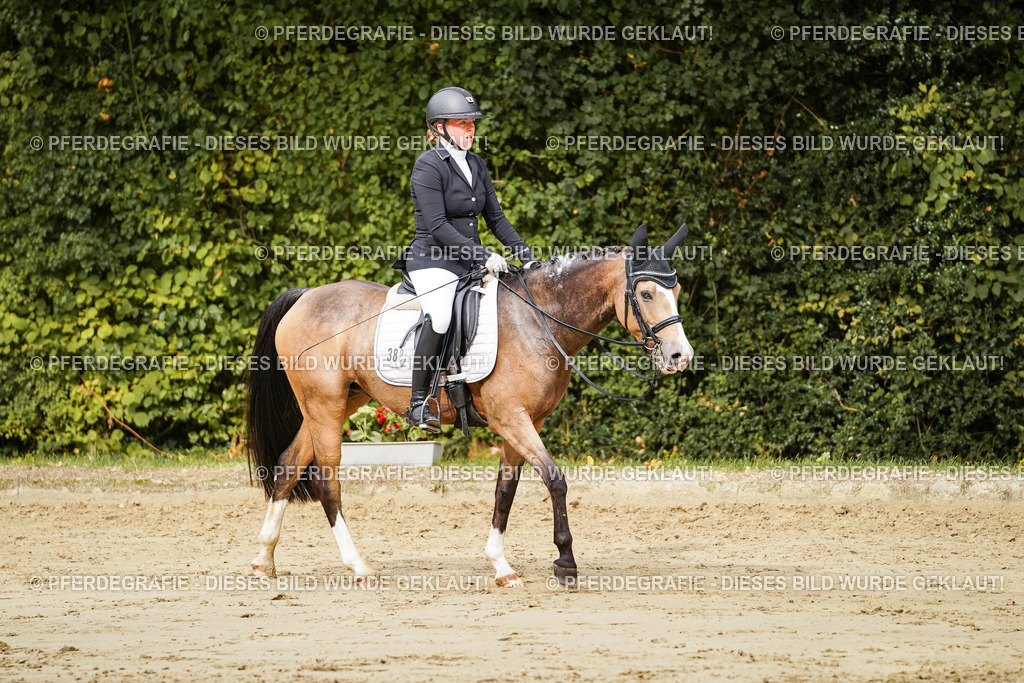 DSC02934 | Pferdegrafie