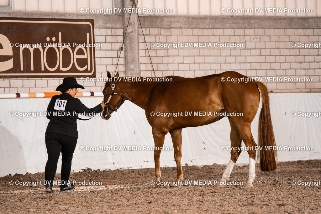 ZH200026 | dv-media-shop - Realisiert mit Pictrs.com