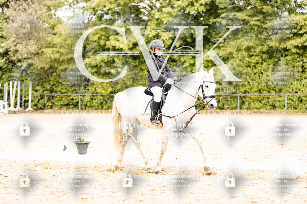 CK904823 | Turnierfotografie Pferdefotografie Trier Rheinland-Pfalz Pferdesport Reitsport Tierfotografie Sportfotografie Pferdevideo Pferdevideografie Equestrianvideography equestrianphotography  - Realisiert mit Pictrs.com