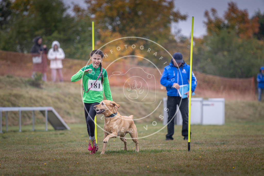 Pfotenfotografie_DV3A9943 | Hundefotografie, Tierfotograf, Pfotenfotografie, Fotoshooting Hund, Hunde Portrait, Hundesport, Hundeportraits, Heideshooting, Hunde, Sportfotograf, Hundefotograf, Turnierhundsport, THS,  - Realisiert mit Pictrs.com