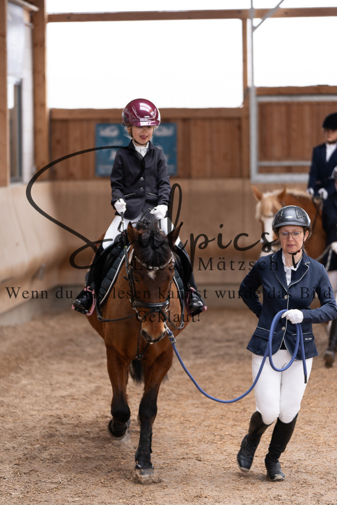 A7507255 | Pferdefotograf