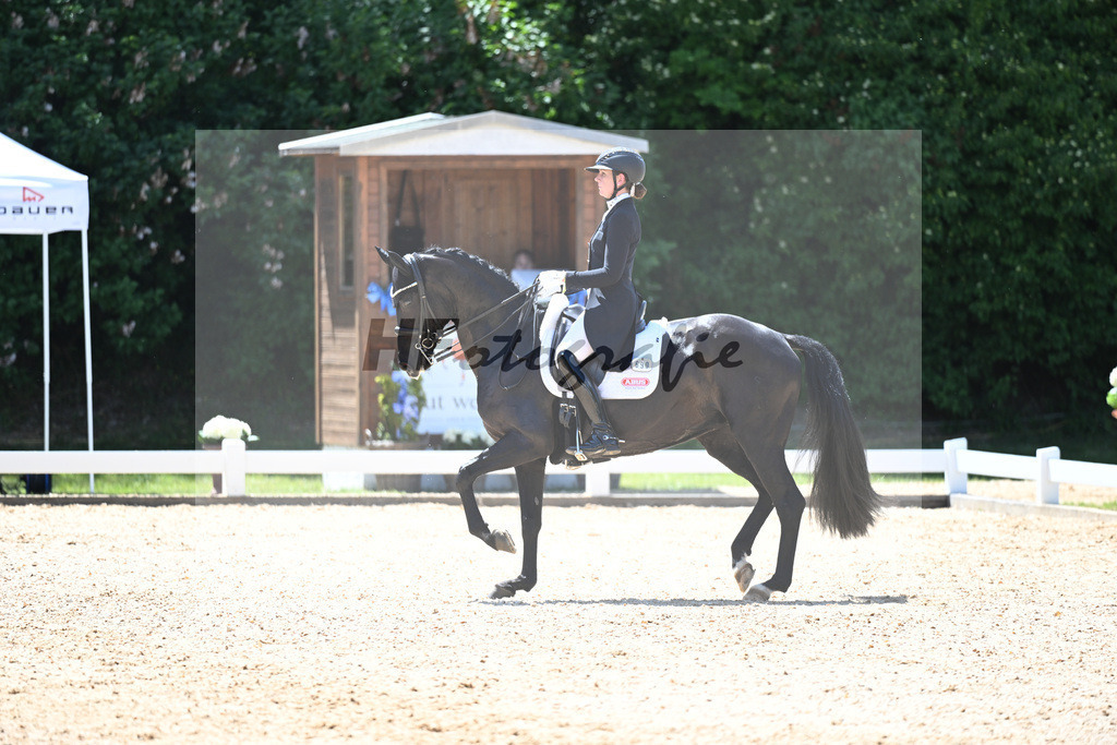Jamieson_Forsazza de Malleret_11253045 | hf-fotografie - Realisiert mit Pictrs.com