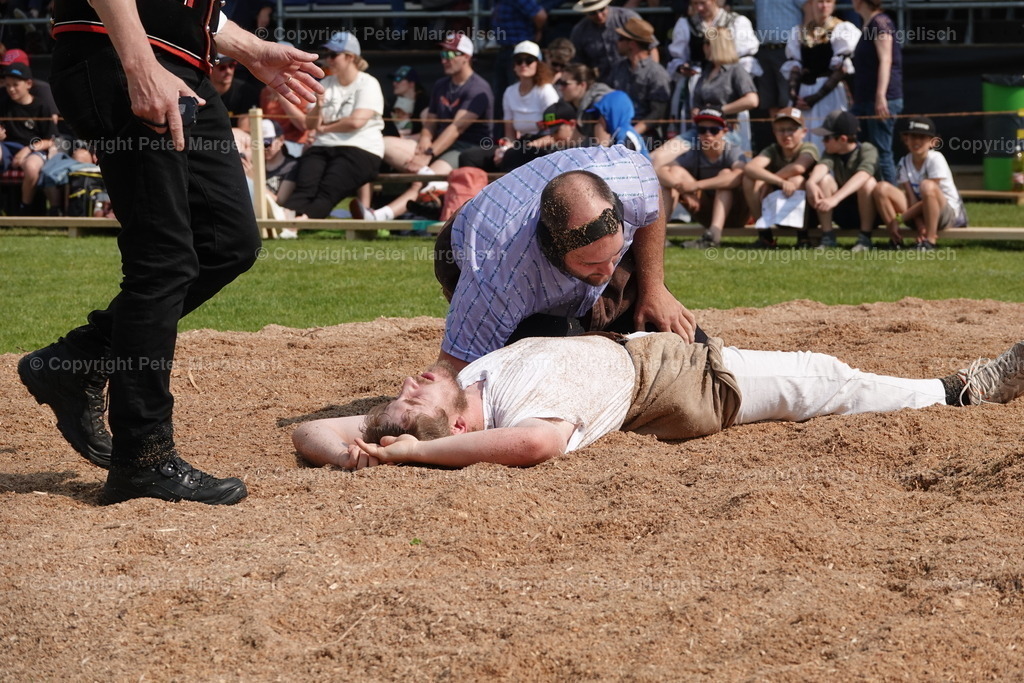DSC04522 | Schwingen - Realisiert mit Pictrs.com