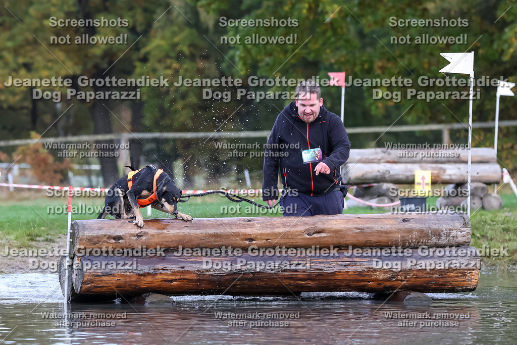 Dog Paparazzi - Strongdog 10-25-6632 | Dog Paparazzi Jeanette Grottendiek Fotografie & Videografie - Realisiert mit Pictrs.com