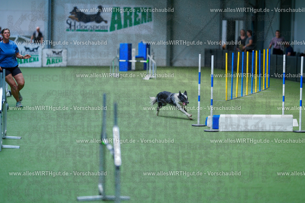 @allesWIRTHgut_Tierfotografie - www.allesWIRTHgut.de - 2604261359-7R503143 | Professionelle Tierfotografie in Mönchengladbach von Daniel Wirth (allesWIRTHgut). Liebevolle & natürliche Bilder von Hunden & Katzen für unvergessliche Erinnerungen.