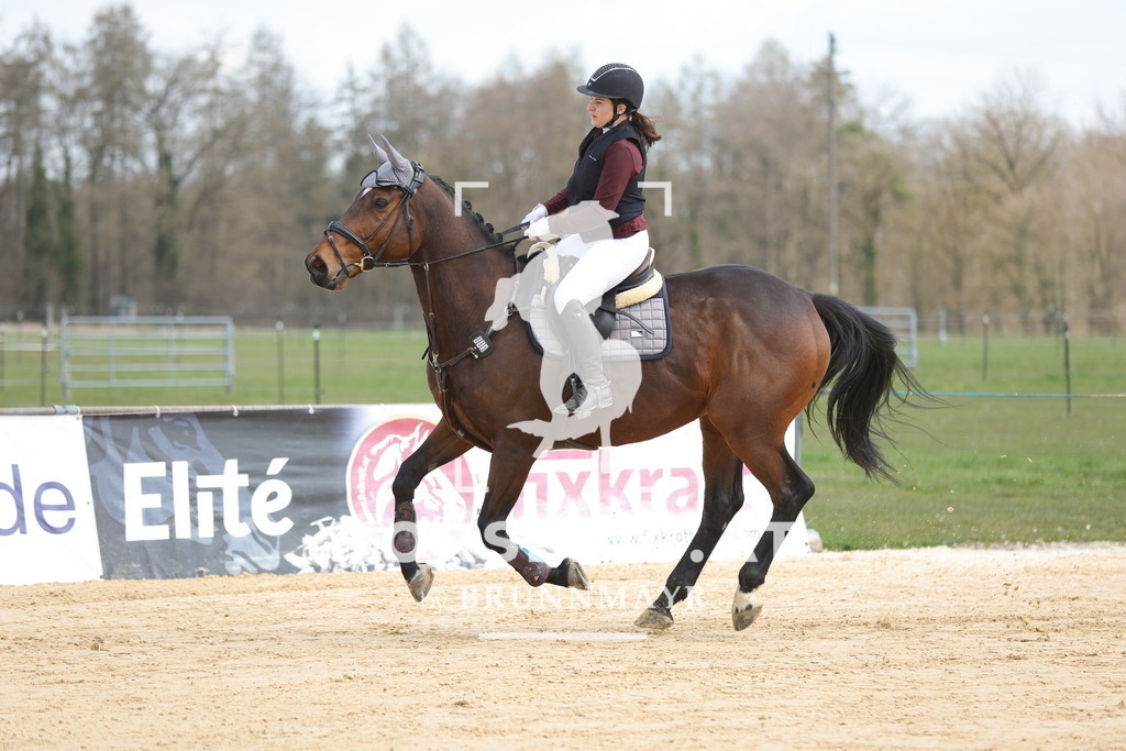 0P6A7373 | Willkommen bei Brunnmayr - Design & Fotografie – Ihrem Spezialisten für Reitturniere und Pferdeveranstaltungen in Oberösterreich, Salzburg und Bayern! Seit über 17 Jahren sind wir leidenschaftlich dabei.