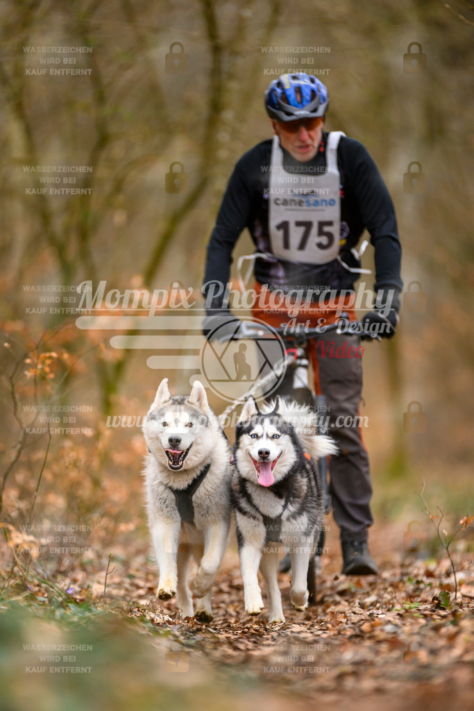MompixPhotography_ReiatRennen2024_SO_DS2-17 | PayLife