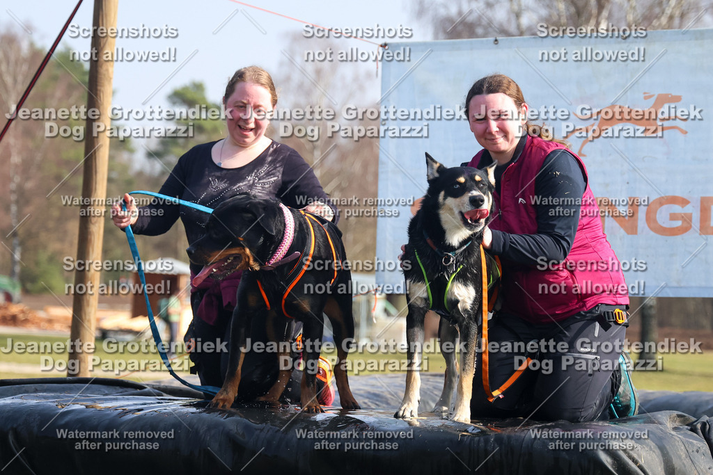 Dog Paparazzi - Strongdog North Mrz26-1678 | Dog Paparazzi Jeanette Grottendiek Fotografie & Videografie - Realisiert mit Pictrs.com
