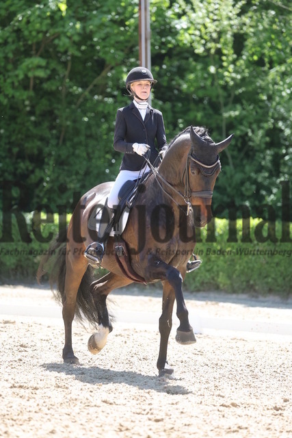 Böblingen_2025_Prfg.Nr.08_Dressurprüfung_Kl.M_Nürnberger Burgpokal_Allegra Elisabeth Hüttig_Impala VIP (12) | Alle Fotos der Reiterjournal Fotografin Doris Matthaes im Reiterjournal Online-Fotoshop. - Realisiert mit Pictrs.com