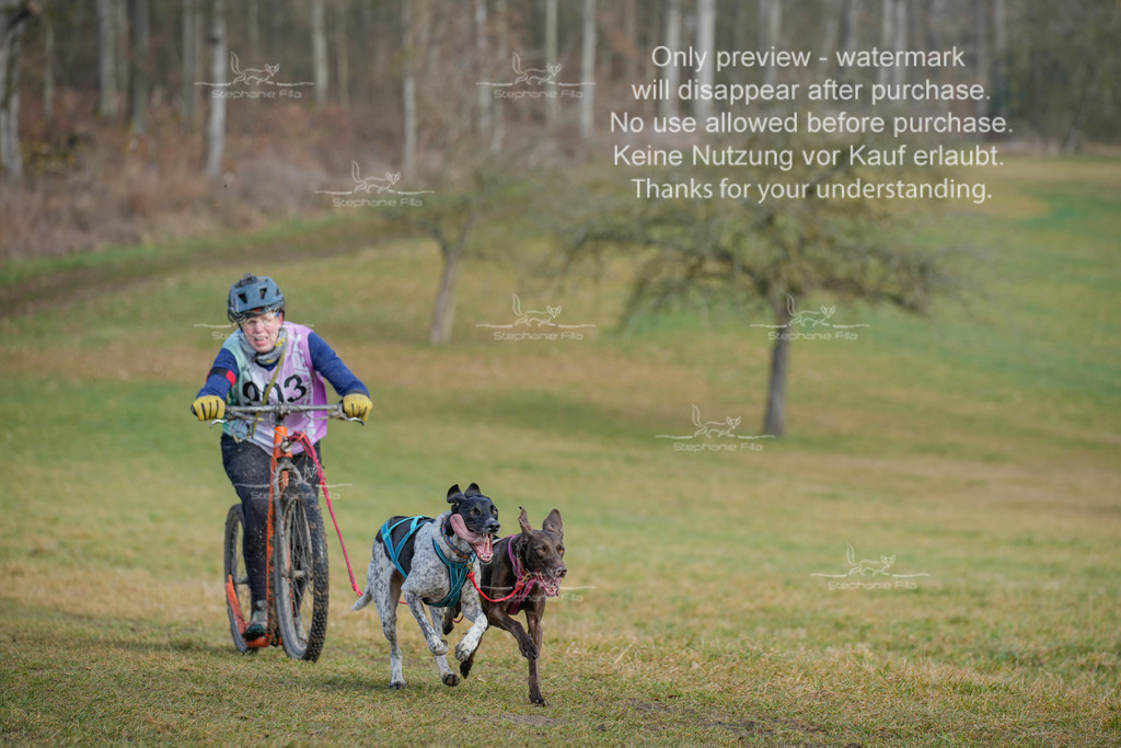 Sa_Scooter2-6 | stephaniefillaphotographie - Realisiert mit Pictrs.com