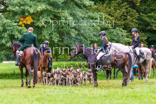 Jagd Perdoel 26 Sony-04187_MarinaHewig | Fotografie, FotoArt, PferdesportArt, Pferdesportfotografie, Landschaftsfotografie, Reisefotografie, Reise, Pferde - Realisiert mit Pictrs.com