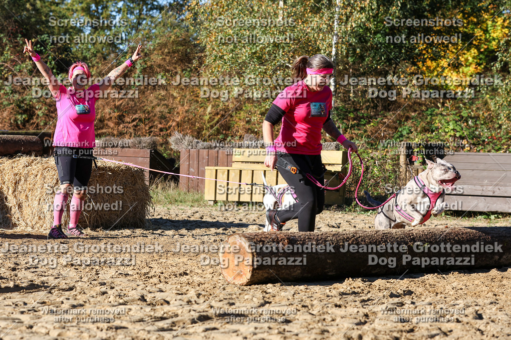 Dog Paparazzi - Strongdog 10-25-1956 | Dog Paparazzi Jeanette Grottendiek Fotografie & Videografie - Realisiert mit Pictrs.com