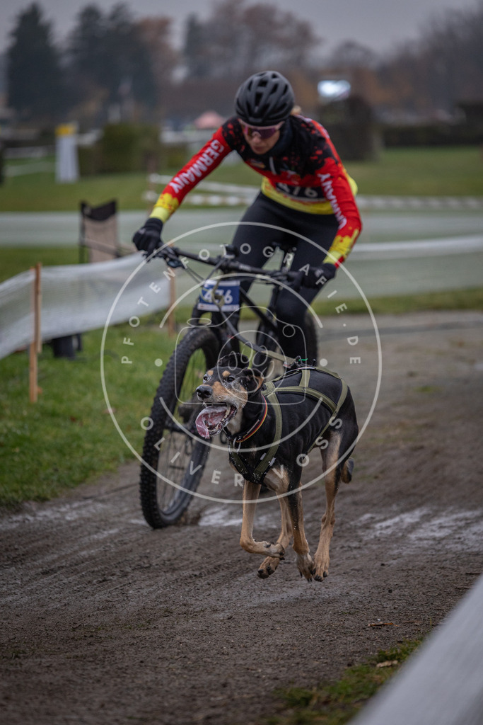 CaniXpix_0L8A1671 | Hundefotografie, Tierfotograf, Pfotenfotografie, Fotoshooting Hund, Hunde Portrait, Hundesport, Hundeportraits, Heideshooting, Hunde, Sportfotograf, Hundefotograf, Turnierhundsport, THS,  - Realisiert mit Pictrs.com