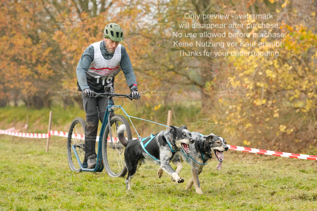 Visbeck_Sa_DS2DR2-108 | stephaniefillaphotographie - Realisiert mit Pictrs.com