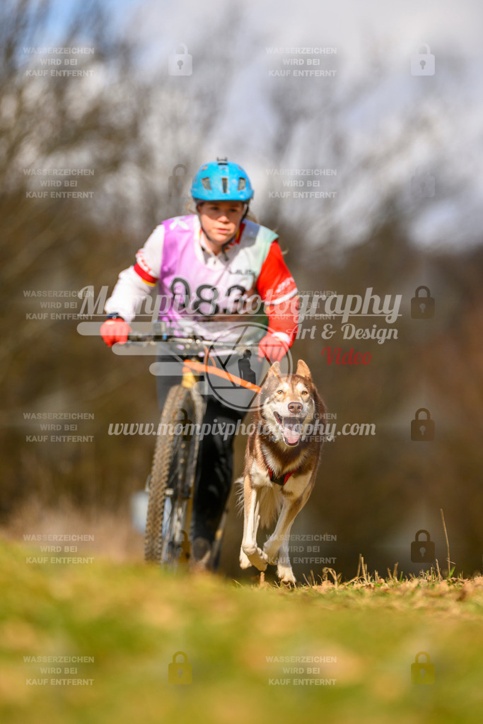 MompixPhotography_10Schwabentrail2026_SO_Scooter-150 | PayLife