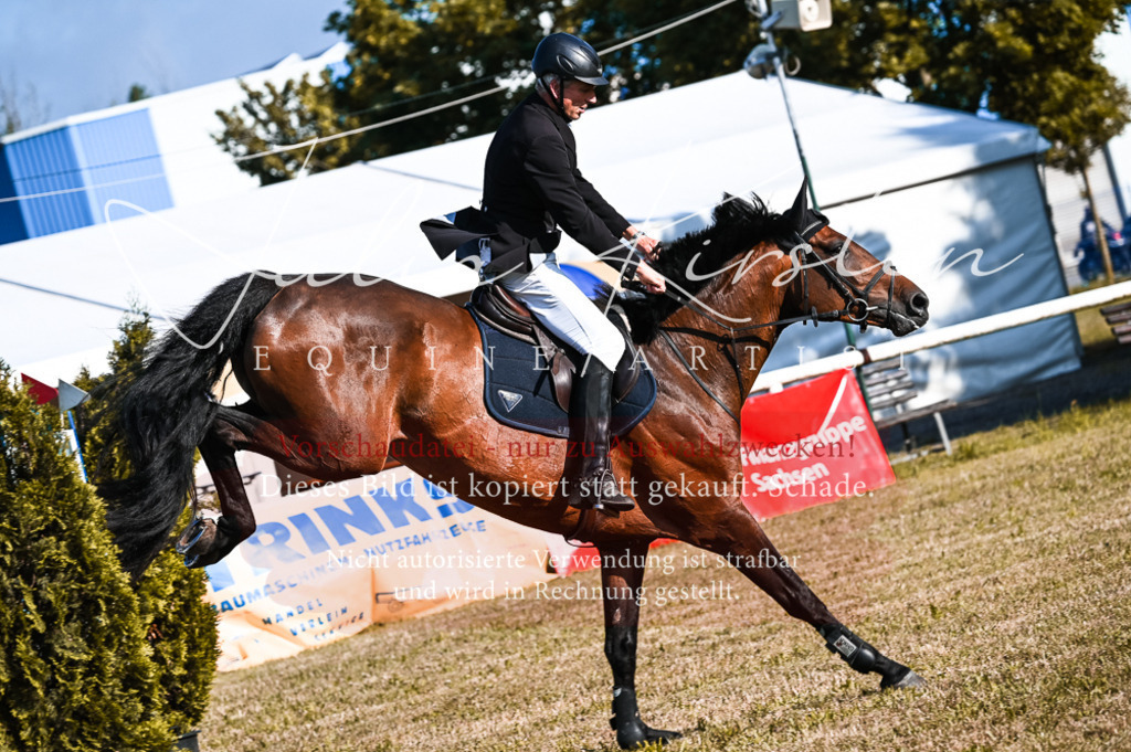 DSC_7465 | Pferde- und Turnierfotografie in Westsachsen. Pferdeportraits, Auftragszeichnungen und intuitive Kunst.