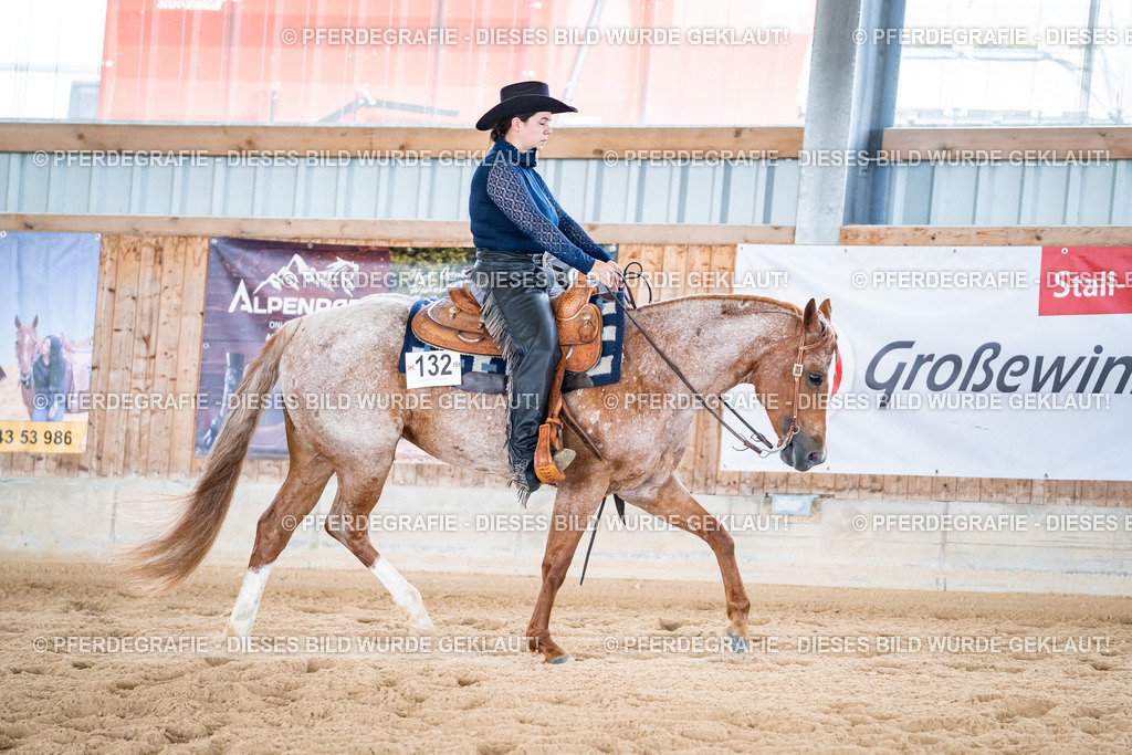 DSC02027 | Pferdegrafie