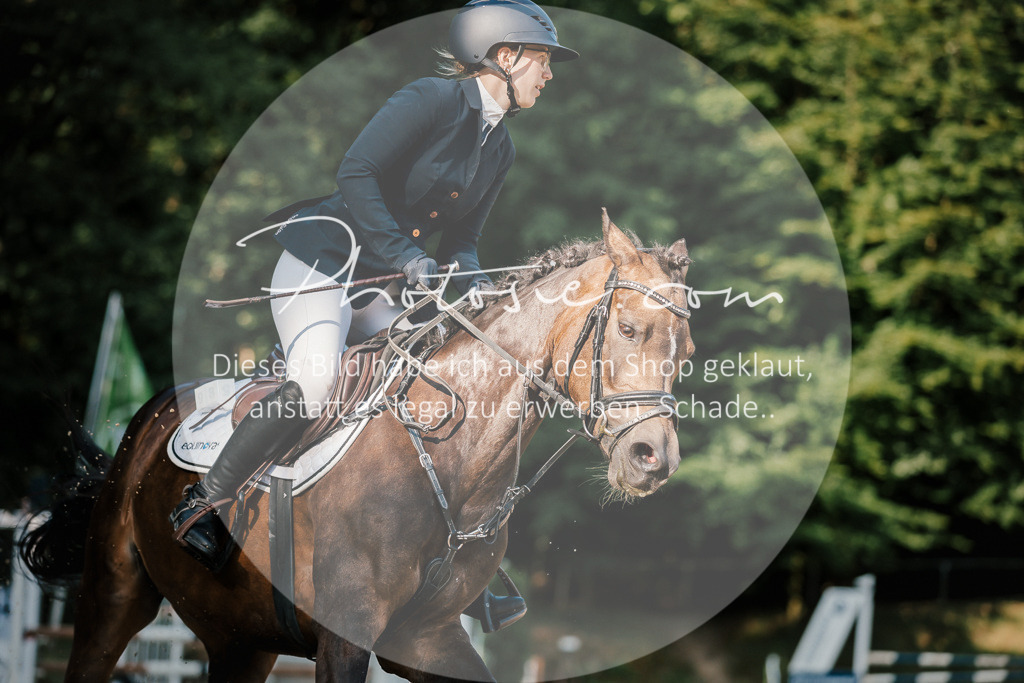 3I6A6282 | Stimmungsvolle Portraits und Reitsportfotografie im Ruhrgebiet und im Münsterland.

Pferdefotografie, Hundefotografie, Tierfotografie, Reportagen, Portraits von Tier und Mensch, Turnierfotografie in Bochum, Recklinghausen, Marl, Haltern am See, Dülmen.. - Realisiert mit Pictrs.com