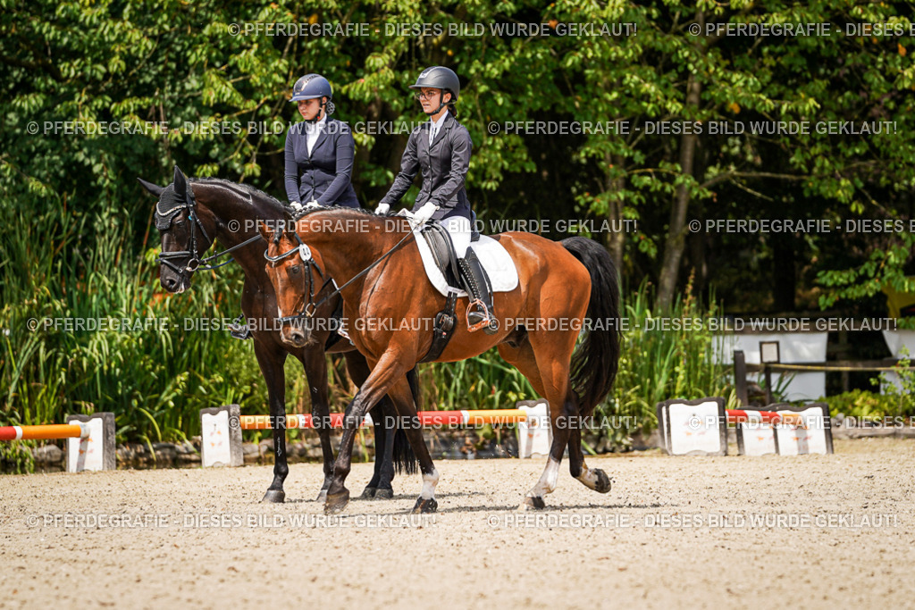 DSC02892 | Pferdegrafie