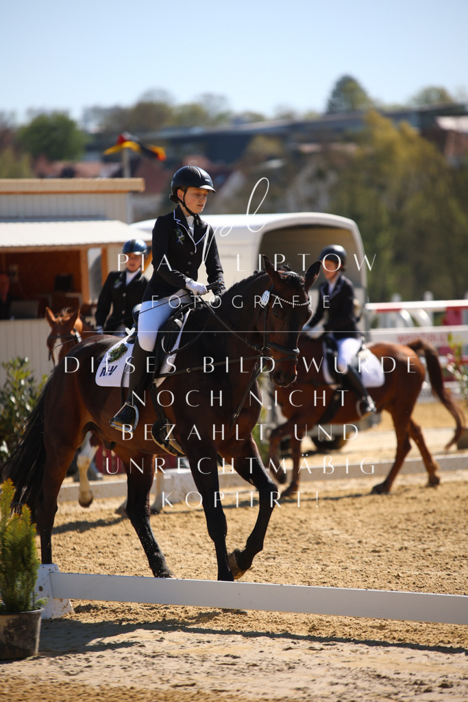 IMGT0538 | pl-fotografie