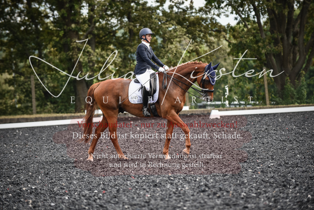 DSC_5035 | Pferde- und Turnierfotografie in Westsachsen. Pferdeportraits, Auftragszeichnungen und intuitive Kunst.