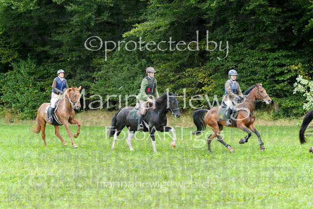 Jagd Perdoel_MarinaHewigMCH04516 | Fotografie, FotoArt, PferdesportArt, Pferdesportfotografie, Landschaftsfotografie, Reisefotografie, Reise, Pferde - Realisiert mit Pictrs.com