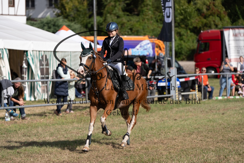 A7V08470 | Pferdefotograf