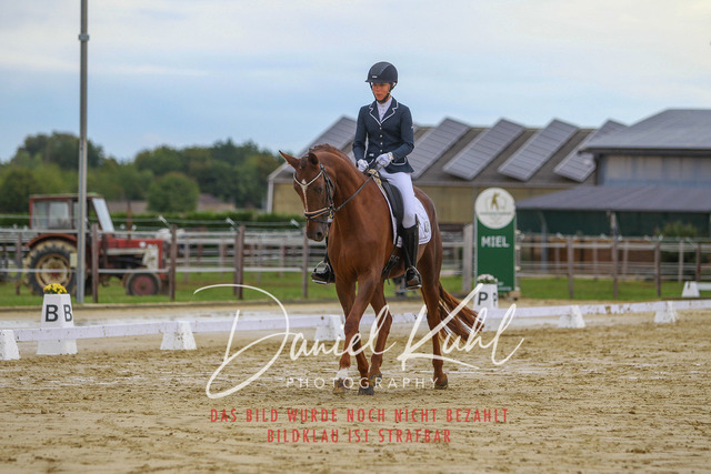 DKP43641 | Turniersportfotografie; Pferdefotografie; Dressurfotografie