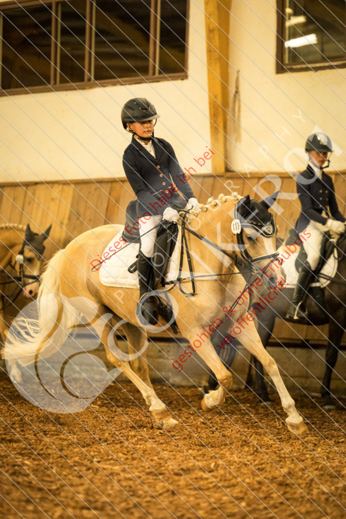 CON_5375 | Sport-, Event- und Tierfotos in Profiqualität. Einfach auswählen, bestellen und herunterladen. Dein Moment – perfekt festgehalten.