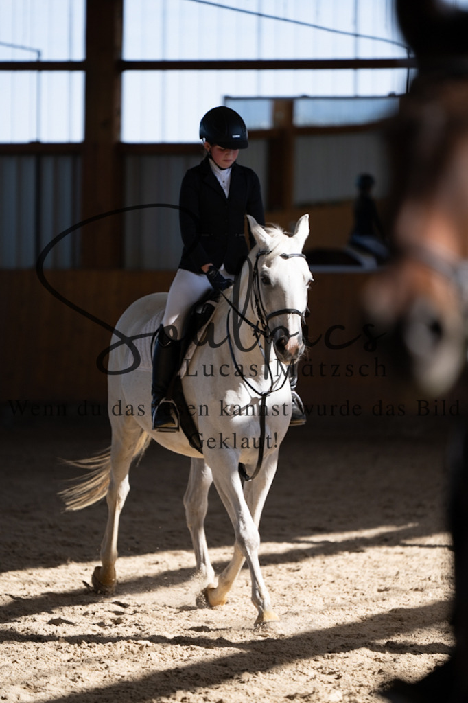 A7V02088 | Turnier/Reitfotograf