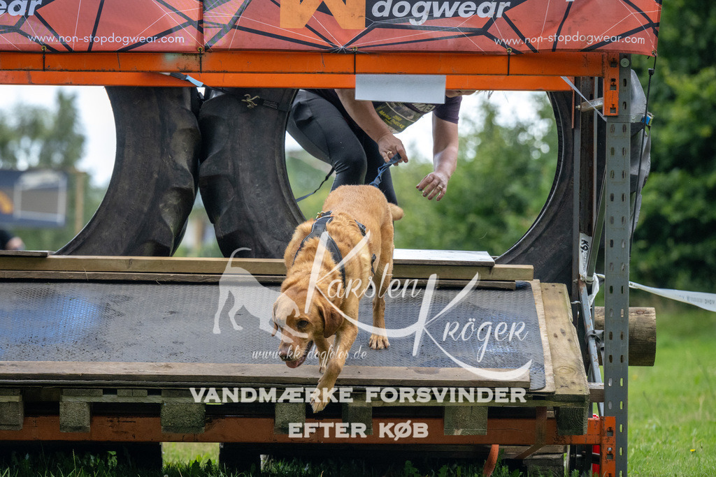 1310_ZZ94719 | kk-dogfotos