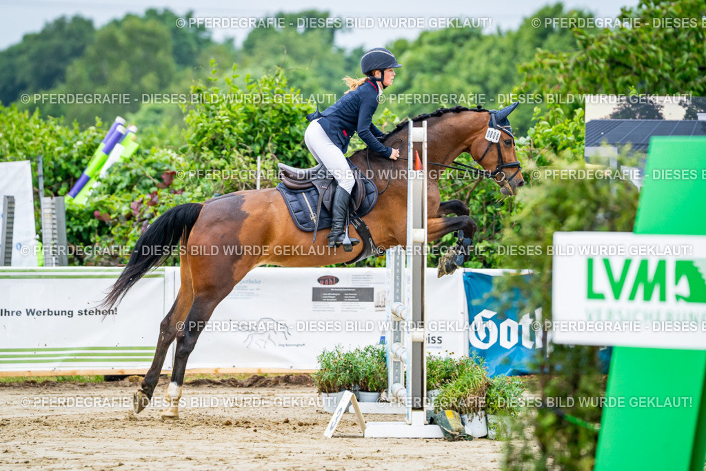 DSC02631 | Pferdegrafie