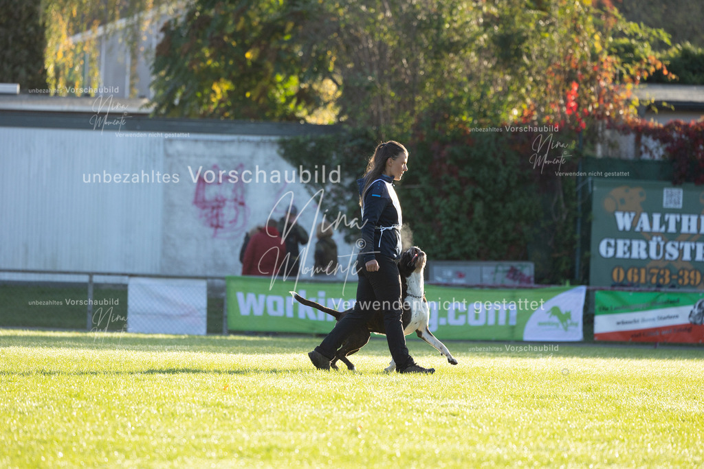 _16A6058 | Einzigartige Fotos von Hunden & Menschen –Actionfotos, Portraits, Vereinsaufnahmen & Paarshootings – authentisch, lebendig & mit Herz.