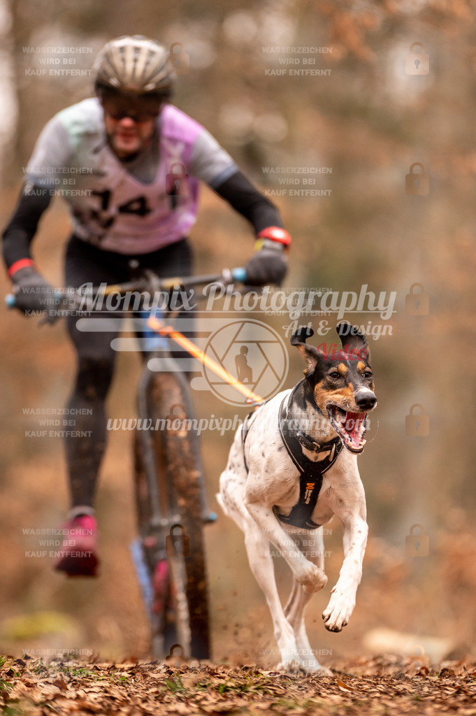 AKM_ST_2023_SAM_Scooter-2 | PayLife