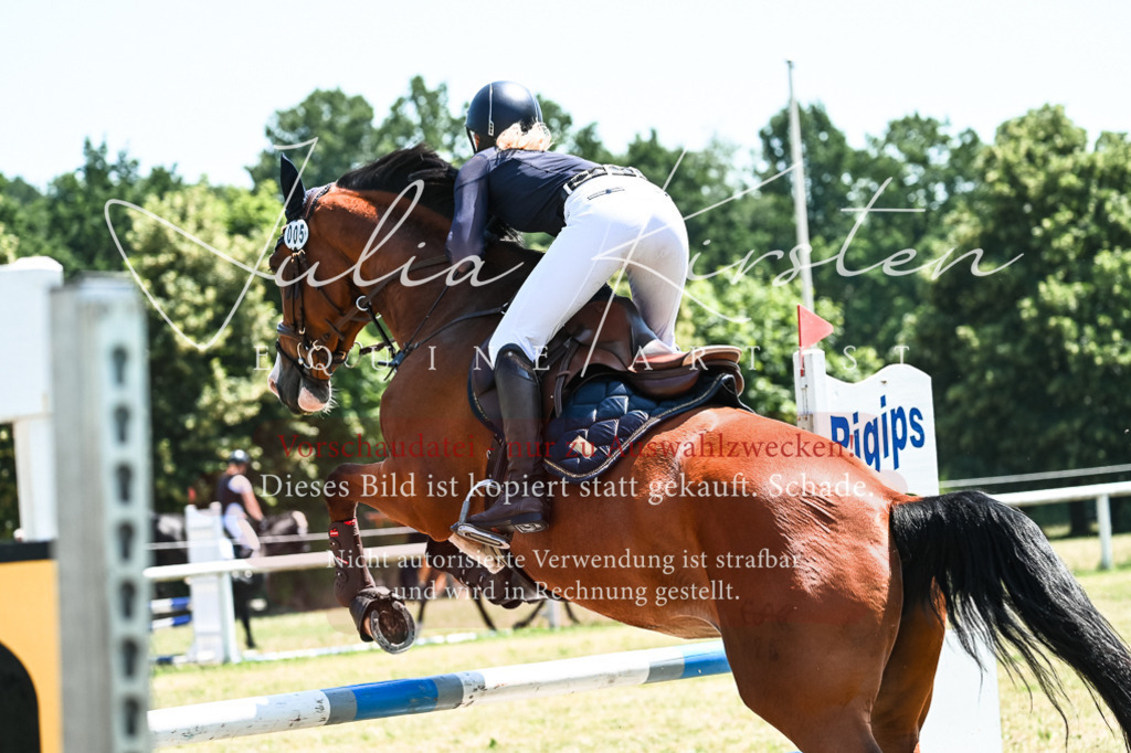DSC_0193 | Pferde- und Turnierfotografie in Westsachsen. Pferdeportraits, Auftragszeichnungen und intuitive Kunst.