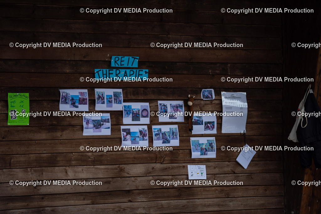 Springen Tag 3-430 | dv-media-shop - Realisiert mit Pictrs.com