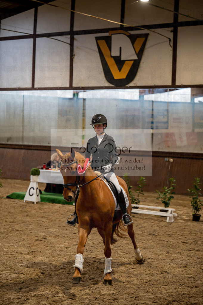 Hallenreittunier Voxtrup 2023 | Entdecke hochwertige Reitturnierfotos von Foto Oger. Professionell, emotional und authentisch – jetzt Lieblingsmomente im Shop bestellen.Deutschlandweite Turnierfotografie. - Realisiert mit Pictrs.com