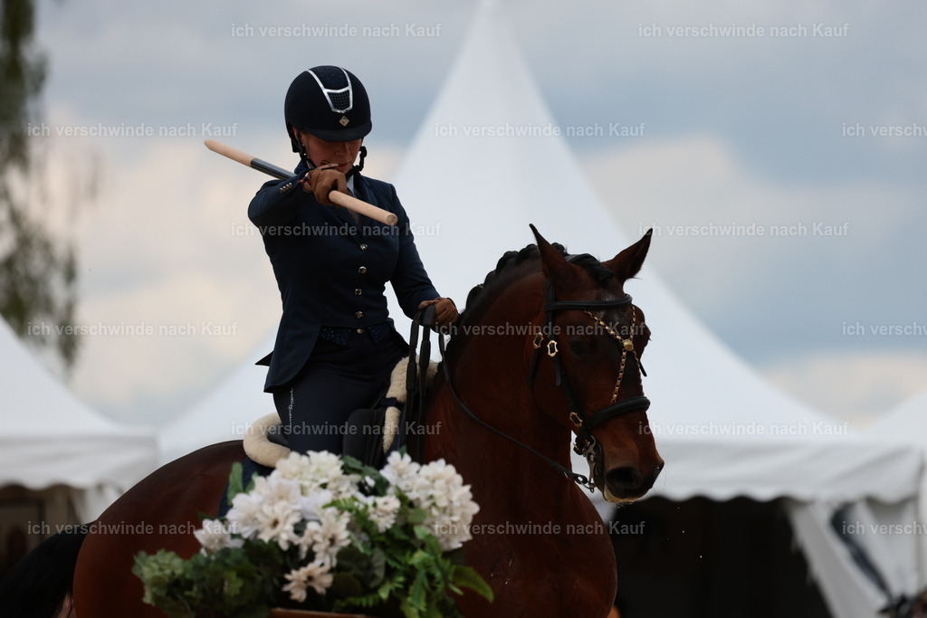 PI26_ST_StoibphotographyC2_L8853.JPG | working equitationturnier fotograf videograf stoibphotography marixx film working equitation deutschland reitsport turnierfotografie eventfotografie equestrian events