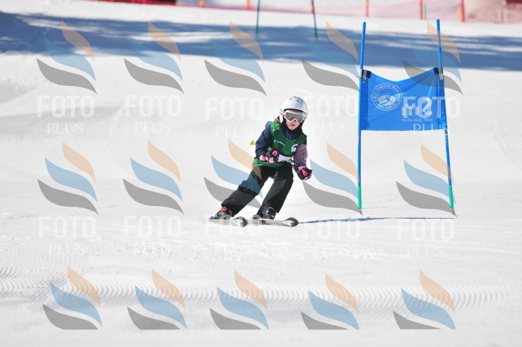 C3043 | holidayphoto