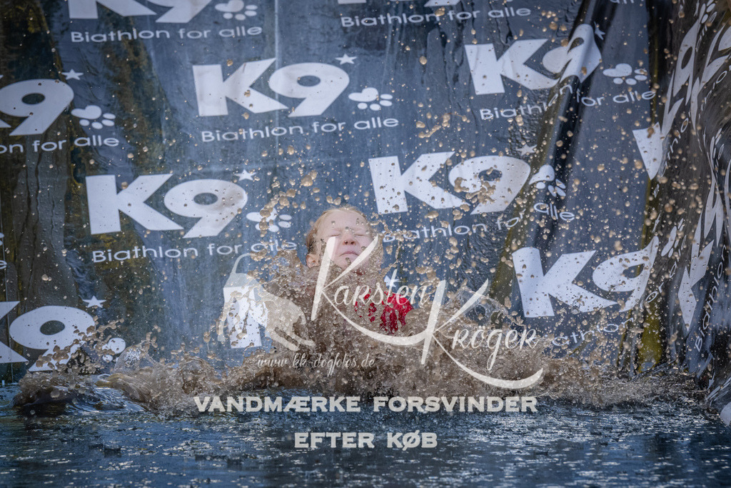1439_ZZ93599 | kk-dogfotos