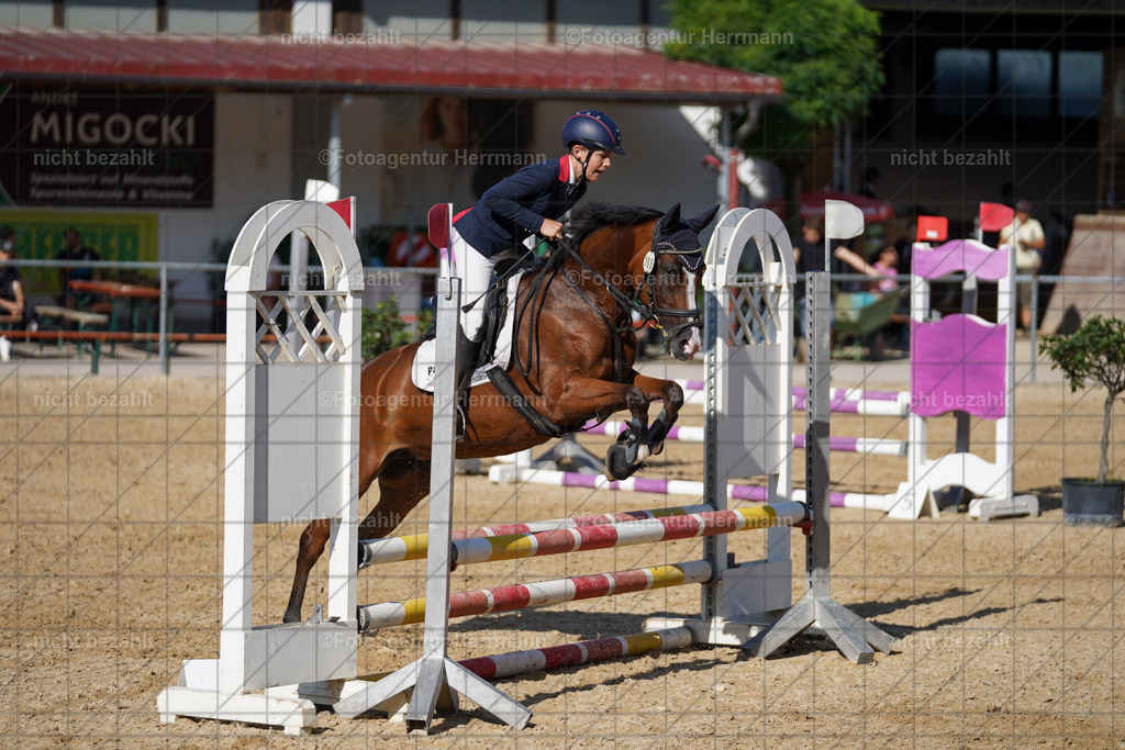 20240824-FAH07298 | Thierhaupten 2024, Bayerisches Landesponyturnier, Turnierbilder, Ponybilder, Turnierfotografen Bayern, Fotoagentur Herrmann