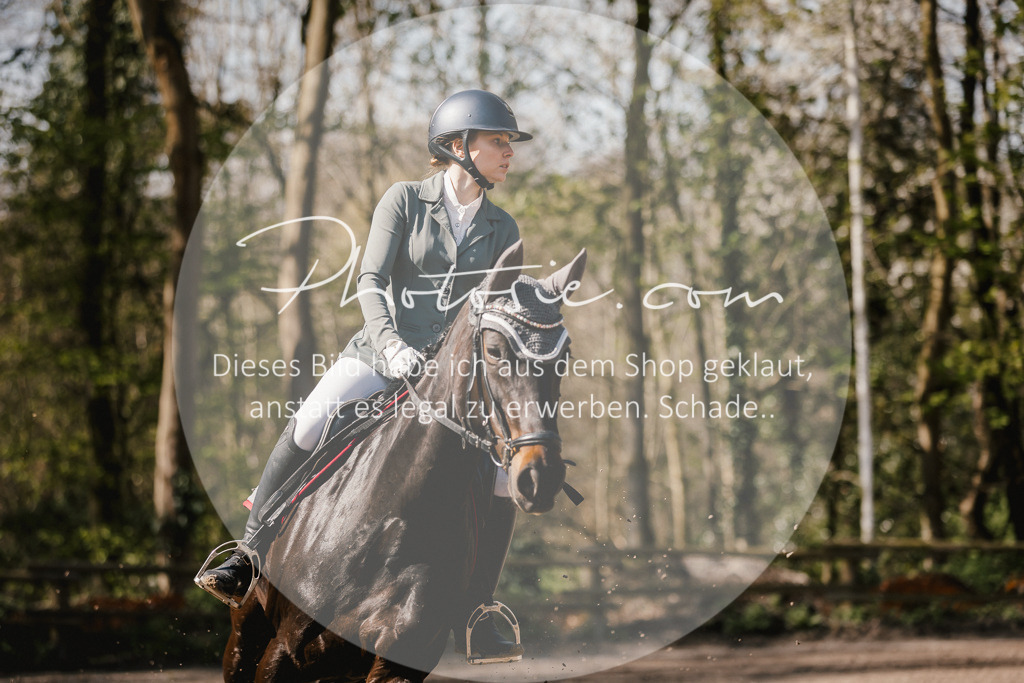 3I6A4034 | Stimmungsvolle Portraits und Reitsportfotografie im Ruhrgebiet und im Münsterland.

Pferdefotografie, Hundefotografie, Tierfotografie, Reportagen, Portraits von Tier und Mensch, Turnierfotografie in Bochum, Recklinghausen, Marl, Haltern am See, Dülmen.. - Realisiert mit Pictrs.com