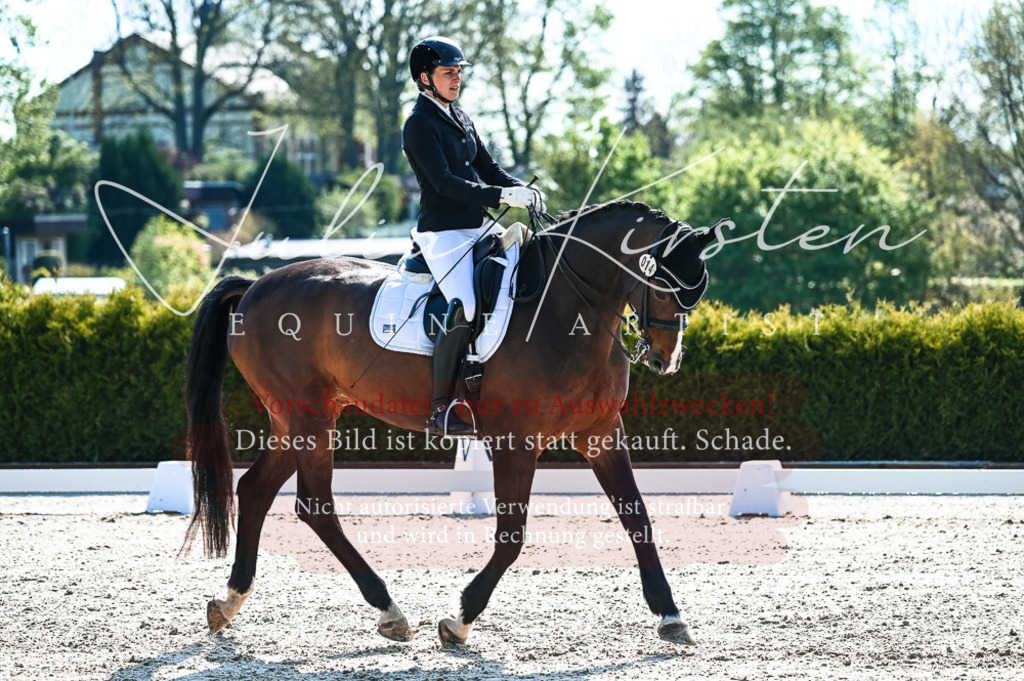 20230513_JK-Röhrsdorf-10-0144 | Pferde- und Turnierfotografie in Westsachsen. Pferdeportraits, Auftragszeichnungen und intuitive Kunst.